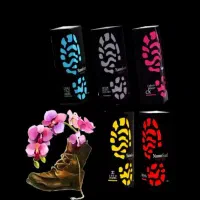 خوشبو کننده وضد عفونی کننده کفش