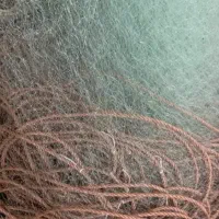 تحبیس وسرب زنی تور