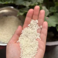 هاشمی درجه یک اعلا