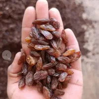 کشمش درجه یک