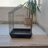 قفس پرنده
