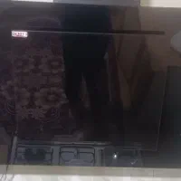 هودلمسی کنترل دار