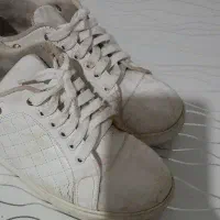 کفش|کیف، کفش، کمربند|مراغه, |دیوار