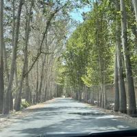 500زمین-سند-تکبرگی-دهکده-ورزشی-اقدسیه-همنوش