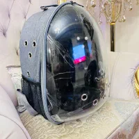 کیف، سگ، گربه، پرنده