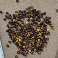 وسایل هنری، مهره چوبی  وشیشه ویال