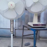 پنکه