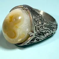 فروش رکاب