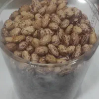 لوبیا چیتی ارگانیک خوشپخت