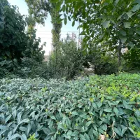 باغچه ۶۰۰ متری/تاپ لوکیشن محمدشهر/سند تکبرگ