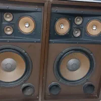باند سنسویی وکنوود