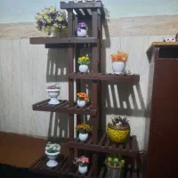 استند گل