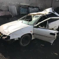 زانتیا تصادفی