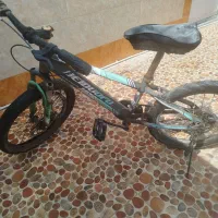 دوچرخه20 تایر گوشتی