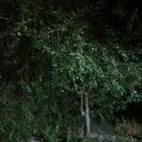 زمین-کشاورزی