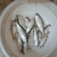 صبور
