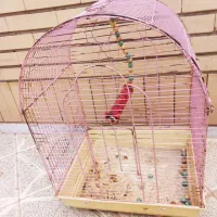 قفس پرنده