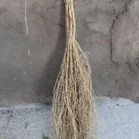 جارو|لوازم نظافت|سلماس, |دیوار
