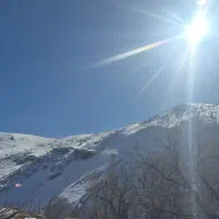 فروش. زمین کشاورزی باچاه