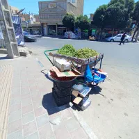چهار چرخ با پالت