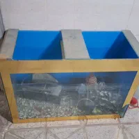 آکواریوم  بزرگ