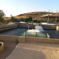 نگهبانی و کار پرورش ماهی