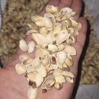 پوست پسته خریدار