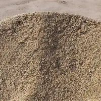 اجاره-زمین-کشاورزی-اطراف-گناوه