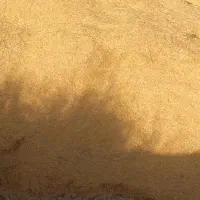 فروش ۲ تن کاه جو