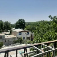 یک لنگه گواشواره گم شده