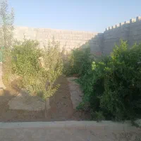باغ-نقلی