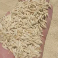 جو    پودر یونجه  کلش