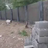 کارگر یا شاگردی میکنم.850تا1میلیون