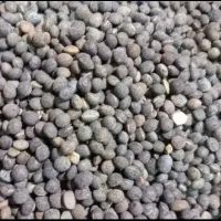 دان پرندگان قره ماش گندم ارزن