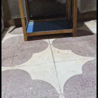 قفس پرنده