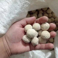 کشک میش|خوردنی و آشامیدنی|سوق, |دیوار