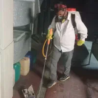 کلیه کار سم پاشی ساختمان ونک سید خندان