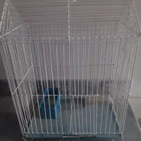 قفس پرنده