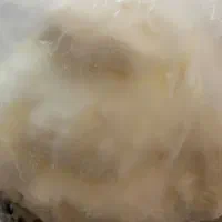کره محلی گوسفند