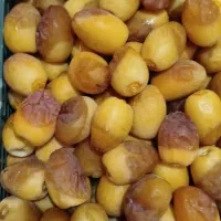 خارک و رطب برحی