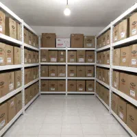 دینام دیگنیتی آریزو x22 تیگو۷ تیگو۵ mvmجکx33چانگان