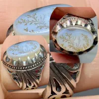 دزدیده شده