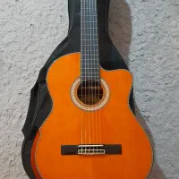 گیتار کلاسیک پیکاپدار