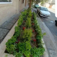 خدمات باغبانی هرسکاری بیل زنی کود دهقی سم پاشی