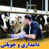 اگه چوپان ضمانت شده میخاین تماس بگیرید
