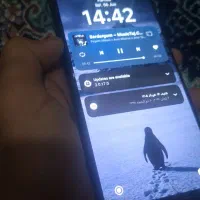 POCO X 5 PRO|موبایل|گنبد کاووس, |دیوار