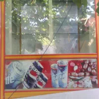 یخچال ویترینی قیمت مناسب  مشابه نو