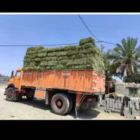 فروشه یونجه پرس هر کیلو ۲۴هزارتومن