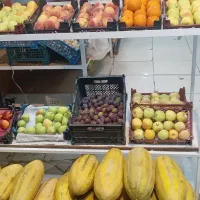 واگذاری میوه فروشی