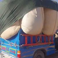 کاه فله و بیده مناسب تحویل درب خانه